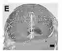 Fig. 01 - METHOD OF TRACKING GROWTH AND METASTASIS OF SPECIFIC CELLS IN VIVO
