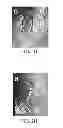 Fig. 07 - METHOD OF TRACKING GROWTH AND METASTASIS OF SPECIFIC CELLS IN VIVO