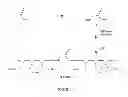 Fig. 03 - TARGETED CONTRAST AGENTS AND USES THEREOF