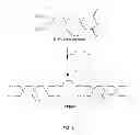 Fig. 04 - TARGETED CONTRAST AGENTS AND USES THEREOF