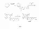Fig. 06 - TARGETED CONTRAST AGENTS AND USES THEREOF