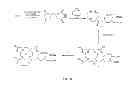 Fig. 07 - TARGETED CONTRAST AGENTS AND USES THEREOF