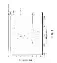 Fig. 02 - Reactive Oxidative Species Generating Materials and Methods of Use