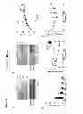 Fig. 03 - Methods of Treating Mitochondrial Dysfunction