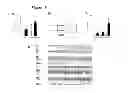 Fig. 20 - Methods of Treating Mitochondrial Dysfunction