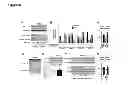 Fig. 28 - Methods of Treating Mitochondrial Dysfunction