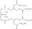 Fig. 32 - Compositions and Methods for Cancer Immunotherapy