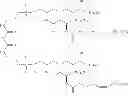 Fig. 37 - Compositions and Methods for Cancer Immunotherapy