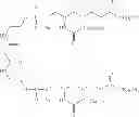 Fig. 69 - Compositions and Methods for Cancer Immunotherapy