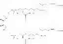 Fig. 75 - Compositions and Methods for Cancer Immunotherapy