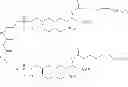 Fig. 79 - Compositions and Methods for Cancer Immunotherapy