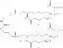 Fig. 80 - Compositions and Methods for Cancer Immunotherapy