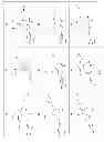Fig. 03 - COMPOUNDS AND METHODS FOR THE TREATMENT OR PREVENTION OF FLAVIVIRIDAE VIRAL INFECTIONS