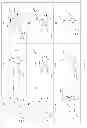 Fig. 06 - COMPOUNDS AND METHODS FOR THE TREATMENT OR PREVENTION OF FLAVIVIRIDAE VIRAL INFECTIONS
