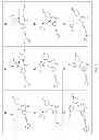 Fig. 08 - COMPOUNDS AND METHODS FOR THE TREATMENT OR PREVENTION OF FLAVIVIRIDAE VIRAL INFECTIONS