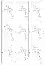 Fig. 10 - COMPOUNDS AND METHODS FOR THE TREATMENT OR PREVENTION OF FLAVIVIRIDAE VIRAL INFECTIONS