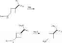 Fig. 95 - COMPOUNDS AND METHODS FOR THE TREATMENT OR PREVENTION OF FLAVIVIRIDAE VIRAL INFECTIONS
