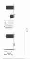 Fig. 08 - GENETICALLY MODIFIED MSC AND THERAPEUTIC METHODS