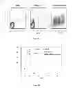 Fig. 08 - Affinity maturated T cell receptors and use thereof