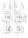 Fig. 20 - Affinity maturated T cell receptors and use thereof
