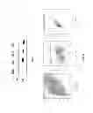 Fig. 28 - Affinity maturated T cell receptors and use thereof