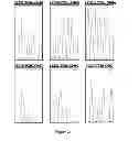 Fig. 37 - Affinity maturated T cell receptors and use thereof