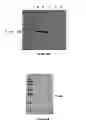 Fig. 49 - Affinity maturated T cell receptors and use thereof
