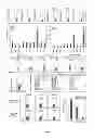 Fig. 02 - Methods of expanding and assessing B cells and using expanded B cells to treat disease