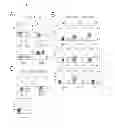 Fig. 07 - Antibody specifically recognizing an epitope for switching to T1 cell