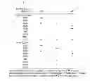 Fig. 10 - Antibody specifically recognizing an epitope for switching to T1 cell