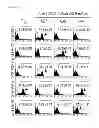 Fig. 17 - Antibody specifically recognizing an epitope for switching to T1 cell