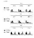 Fig. 18 - Antibody specifically recognizing an epitope for switching to T1 cell