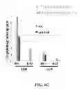 Fig. 07 - Methods for treating hair loss disorders