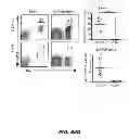 Fig. 69 - Methods for treating hair loss disorders