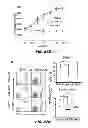 Fig. 80 - Methods for treating hair loss disorders