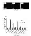 Fig. 83 - Methods for treating hair loss disorders