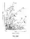 Fig. 87 - Methods for treating hair loss disorders