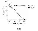 Fig. 03 - TLR3 BINDING AGENTS
