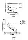 Fig. 06 - TLR3 BINDING AGENTS
