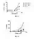 Fig. 07 - TLR3 BINDING AGENTS