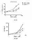 Fig. 08 - TLR3 BINDING AGENTS