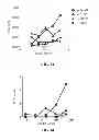 Fig. 09 - TLR3 BINDING AGENTS