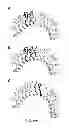 Fig. 35 - TLR3 BINDING AGENTS
