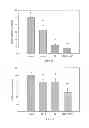 Fig. 08 - Compositions and Methods for Treating Brain Tumors