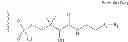 Fig. 197 - Site-specific labeling methods and molecules produced thereby