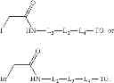 Fig. 586 - Site-specific labeling methods and molecules produced thereby