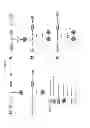 Fig. 08 - DELIVERY SYSTEM AND CONJUGATES FOR COMPOUND DELIVERY VIA NATURALLY OCCURRING INTRACELLULAR TRANSPORT ROUTES
