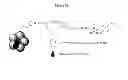 Fig. 40 - DELIVERY SYSTEM AND CONJUGATES FOR COMPOUND DELIVERY VIA NATURALLY OCCURRING INTRACELLULAR TRANSPORT ROUTES