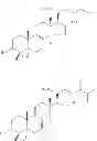 Fig. 06 - Pharmaceutical composition for enhancing immunity, and extract of 