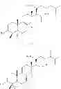 Fig. 07 - Pharmaceutical composition for enhancing immunity, and extract of 